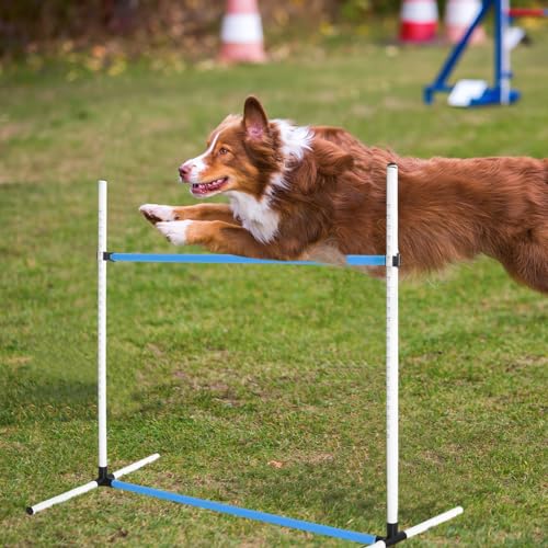 Halloscume Agility Set Ready for Transport