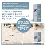 Hagerty Dry Shampoo Proszek do czyszczenia dywanów 500 g I Specjalny suchy szampon w proszku do delikatnych dywanów wykładzin tkanin meblowych I Usuwanie plam z dywanów i tapicerek na sucho
