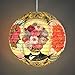 Blue Q Paper Lantern - Flower Heads