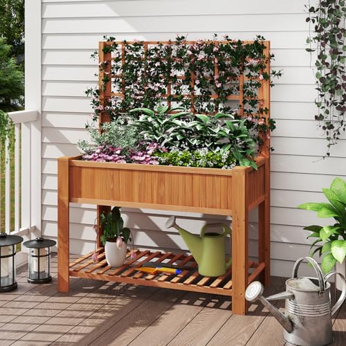 RELAX4LIFE Jardiniere sur Pieds avec Treillis, Jardiniere Treillis en Bois, Carre Potager sur Pied, Étagère Inférieure pour Outils, Trou de Drainage, Fond...