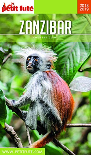 Télécharger ZANZIBAR 2019/2020 Petit Futé (Country Guide) livre En ligne