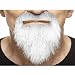 Mustaches Self Adhesive, Novelty, Ducktail Fake Beard, False Facial Hair, Costume Accessory for Adults, Gray with White Color