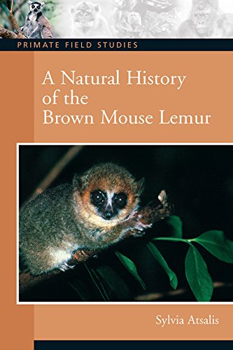 A Natural History of the Brown Mouse Lemur (Primate Field Studies)