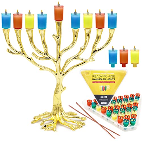 The Dreidel Company Multicolored Prefilled Gel 100% Olive Oil Cups for Hanukkah Menorah with Wicks 44 Pack, Fits Most Standard Size - Burns for 2 Hours Medium Gelled Oils