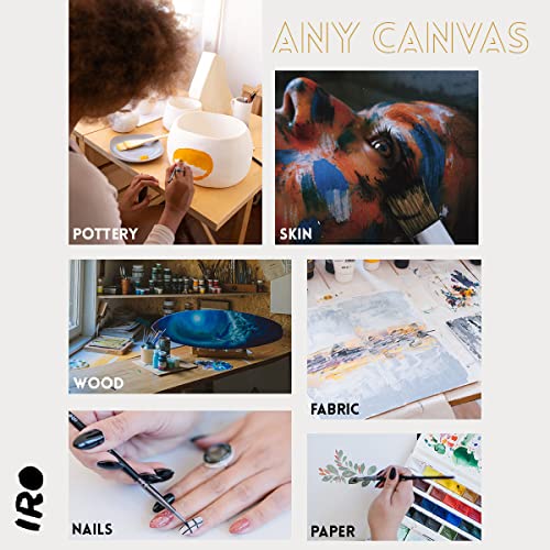 Iro Artist Paint Brush Set Of 15 Professional Flat Paint Brushes For Acrylic Painting And Oil Paints. Round Watercolor Paint Brushes And Gouache. Painting Set For Adults Kids. Knife, Sponge, Case #TOP5