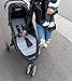 Baby Jogger City Mini 2 Stroller - 2019 | Compact, Lightweight Stroller | Quick Fold Baby Stroller, Carbon