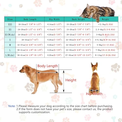 Fauteuil roulant pour chien redonnez le bonheur de marcher