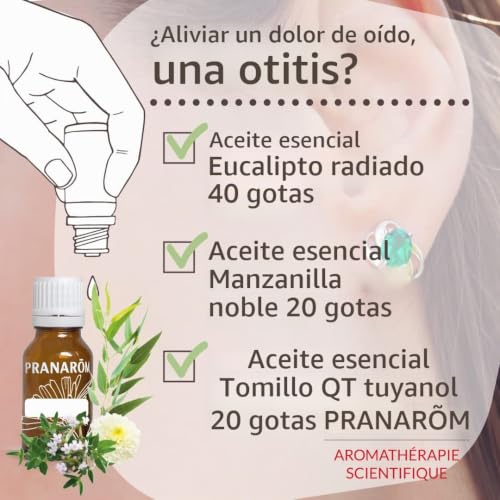 Miniatura 4 de 