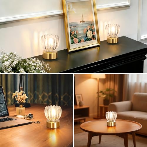 Image of Shenmoyl Cordless Small Table Lamp with 5200mAh Battery & Touch Control, Battery Operated Tulip Table Lamp with 3 Colors, Rechargeable Mini Table Lamps for Bedsides, Bedroom, Nightstand (Transparent)