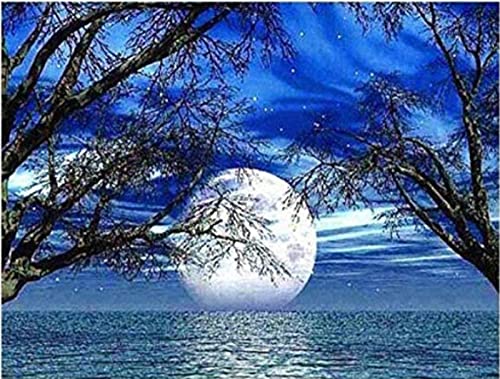 Peinture au diamant 5D lune pour une décoration murale zen fait maison