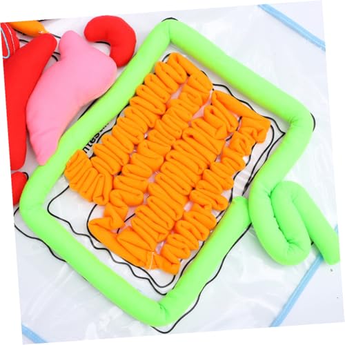 Modèle anatomique de tablier éducatif pour école et activités maison