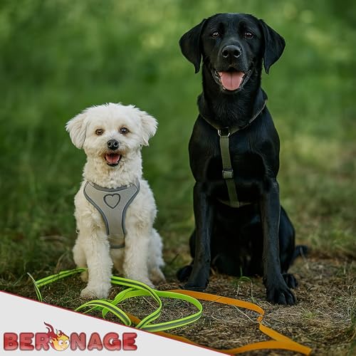 Schleppleine Biothane Romeo ca. 10 m – Reflektierend & wasserfest – mit Rückdämpfer & Haltegriff – für kleine & mittelgroße Hunde – ideal für Rückruf, Training & Freilauf (Grün)