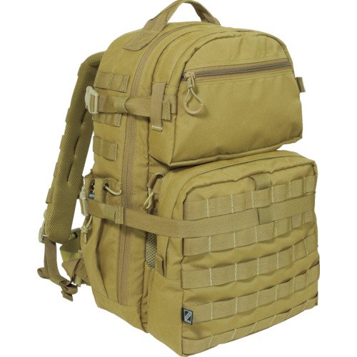 �X�e�f�B�t���C���O(Steady Flying) �o�b�N�p�b�N�gARES�h PA010502B2CB