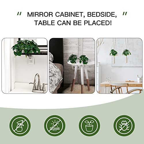 Cadnly Mini Fake Plants Set - Artificial Potted Plants Small Faux Plants For Shelves – Green Plastic Plants Desk Plant For Office – Small Artificial Plants In Pots Bathroom Plants Decor 2Pack #TOP4