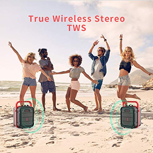 Shinco SJ52 Portable Karaoke Machine with Wireless Microphone, Rechargeable PA System, Bluetooth Speaker with FM Radio, Audio Recording, Remote Control