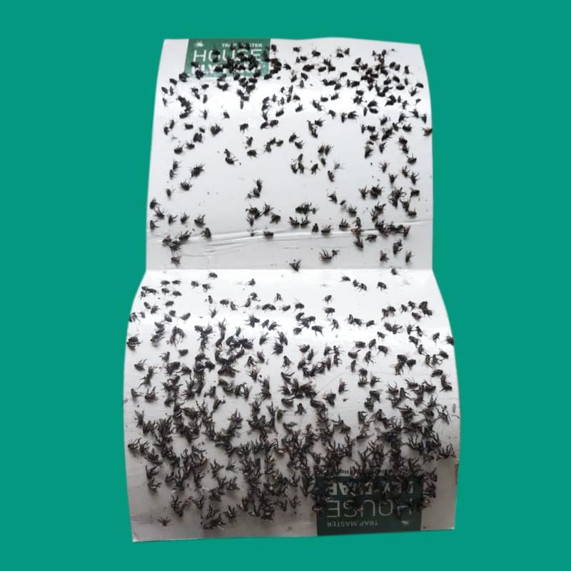House Fly Trap, Glue Trap, Insect Trap for Housefly, Poultry Flies, Sticky Paper Pack of 10 (B0DCVYTDFF) Amazon Price History, Amazon Price Tracker
