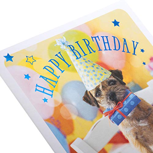 General-Birthday-Card-from-Hallmark-Cute-Photographic-Design