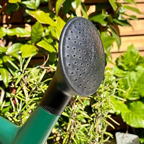 CUQOO 6L Watering Can In Green  Lightweight Watering Can For Garden - Watering Can Indoor & Outdoor with Detachable Sprinkler Rose Head  Hydrate Water Can for Garden Plants Water Sprinkler