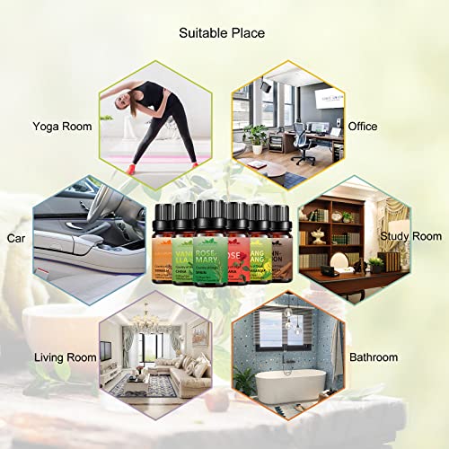 Essential Oil Blends Set Mumianhua Pure Essential Oil Starter Kit For Skin, Diffuser, Soap Making(Rose Oil, Rosemary Oil, Ylang Ylang Oil, Cinnamon Oil, Vanilla Oil, Myrrh Oil) 6X10Ml #TOP2