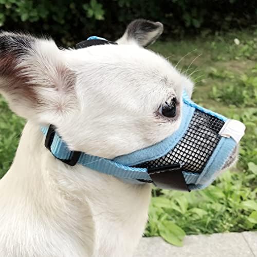 Does A Muzzle Keep A Dog From Barking