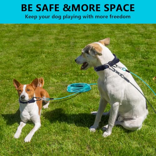 Dog Tie Out Cable 10FT-300Lbs,Heavy Duty Dog Leads&Tether for Yard with Swivel Hook,Small Large Dogs Leash Line for Outside,Rust Chew Proof Dogs Run Cable for Outdoor Camping(Teal, 10FT)