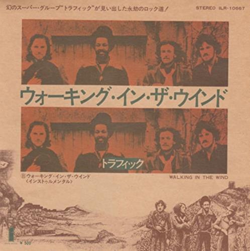 walking in the wind - walking in the wind (instro) 45 rpm single