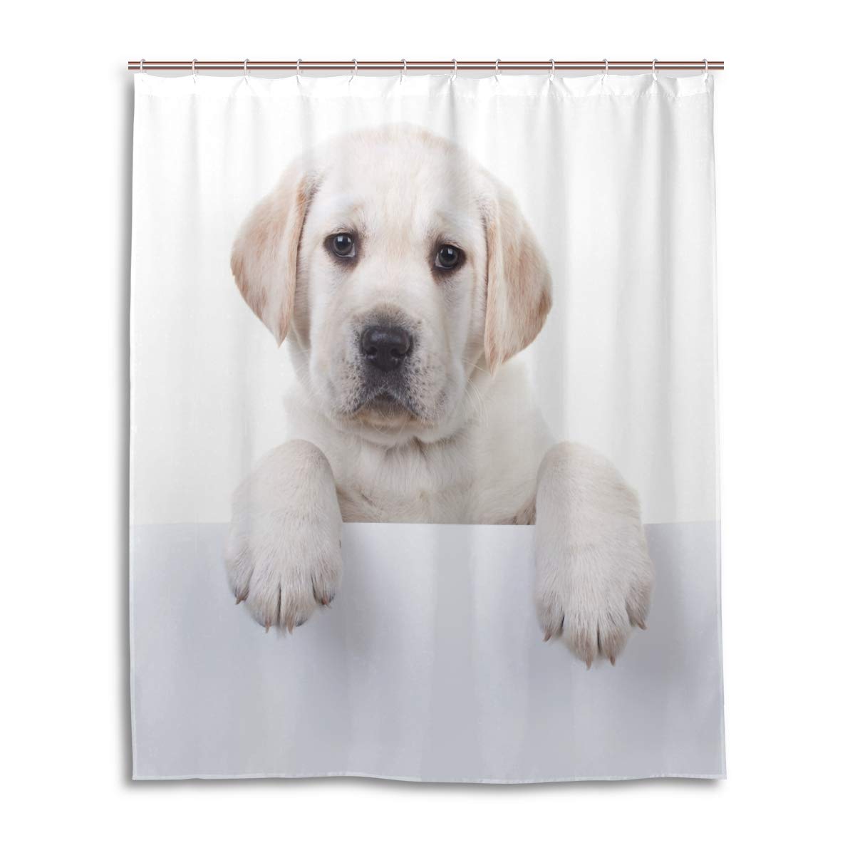 Amazon Wihve シャワーカーテン オールドラブラドールレトリバー 子犬 ポリエステル生地 バスルームカーテン 防水 洗濯機可 フック12個付き 60x72インチ シャワーカーテン ホーム キッチン オンライン通販