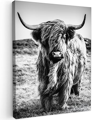 MuchoWow© Impressions sur Toile 30x40 cm Deco Tableau Murale Decoration Salon Peinture Tableaux Chambre Toiles Maison Highlander écossais - Nature - Vache - Noir -...