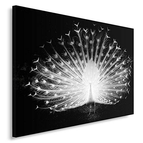 Feeby Frames, Leinwandbild, Bilder, Wand Bild Cover
