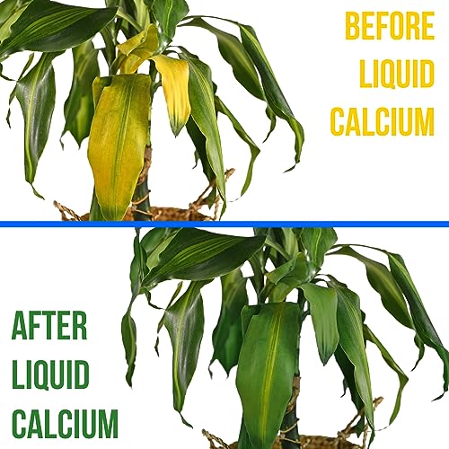 Nature’s Lawn & Garden - Natural Liquid Calcium - Liquid Lime Concentrate For Lawn, Yard, Garden, Potted Plants, Vegetables, Trees - Treat Acidic Soil, Raises Soil Ph, Non-Toxic, Pet-Safe - 1 Gallon #TOP3