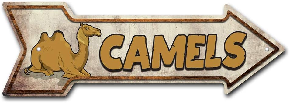 SignMission Chopper Shop Arrow Sign Indoor/Outdoor Direction Arrow Sign Funny Home Décor for Garages, Living Rooms, Bedroom, Offices Personalized Gift 24" Wide