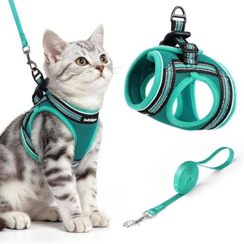 Image of rabbitgoo Cat Harness and Leash Set, Step-in Soft Vest, Turquoise & Green