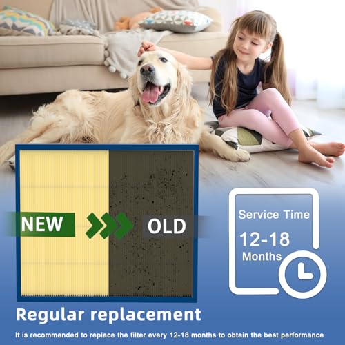 Filtre GAPBBCAR2020 Bryant Carrier Infinity de rechange - 6