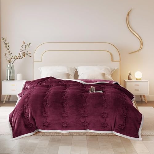 ShowyLive Kuscheldecke Flauschig Decke Sofadecke Fleecedecke Flanell Couchdecke Für Bett Sofa Schlafzimmer Büro- Dicke & Warm Wohndecke für Couch Sofaüberwurf (Rot, 180x200CM)