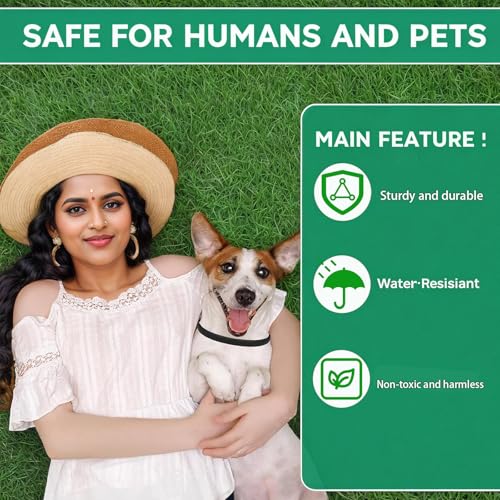 Hundehalsband, reflektierendes Hundehalsband mit Sicherheitsschnalle, verstellbares Halsband für kleine, mittelgroße und große Hunde, Schwarz, Größe M (35–50 cm)