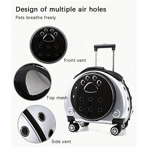 Sac de transport pour chat et chien pour voyager ensemble