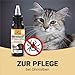 Canifee - Ohrentropfen für Hunde und Katzen, Ohrenmilbenöl mit Manuka-Öl bei Hefepilz und Ohrmilben, 60ml Flasche mit fein einstellbarem Dosierkopf, natürliches Pflegeöl gegen Entzündungen