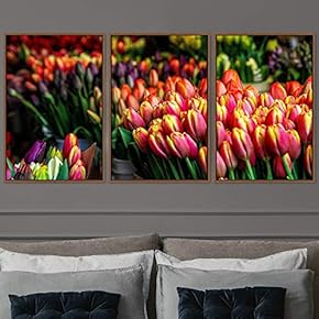 signwin 3 Piece Framed Canvas Wall Art Colorful...
