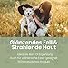 alphazoo Premium Lachsöl Hunde 100 ml, Omega 3 & 6 Fischöl für Hunde - abgefüllt in Deutschland, Barf Öl, Fellpflege Hund