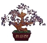  Feng Shui AMATISTA joya de árbol, árbol, árbol de Gemstone