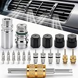 TWTADE 19PCS Air Conditioning Valve Core Kit - Car AC R12 R134a Teflon Seal Refrigeration Schrader Valve Stem...