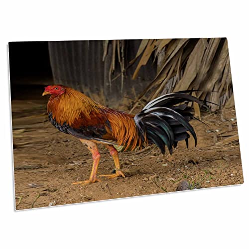 3dRose Cuba. Pinar del Rio. Vinales. Rooster. Desk Pad