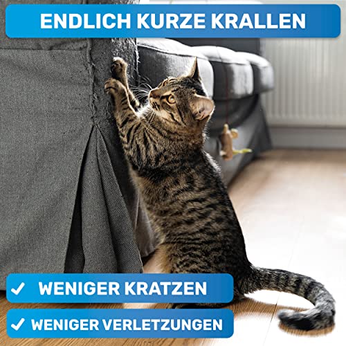 BluePet Mini Krallenschere für Katzen, Hunde, Kaninchen & Welpen I Einfach & Sicher bei engsitzenden Katzenkrallen I Kleiner Krallenschneider & Nagelschere I Nagelschneider + Krallenpflege Tier