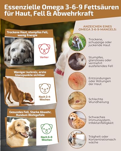 5-in-1 Barf Öl Hund [Made IN Germany, 100% NATÜRLICH & LABORGEPRÜFT] – Omega 3-6-9 Komplex mit Premium Lachsöl, Leinöl, Rapsöl & Borretschöl – Kaltgepresstes Futteröl (250ml)