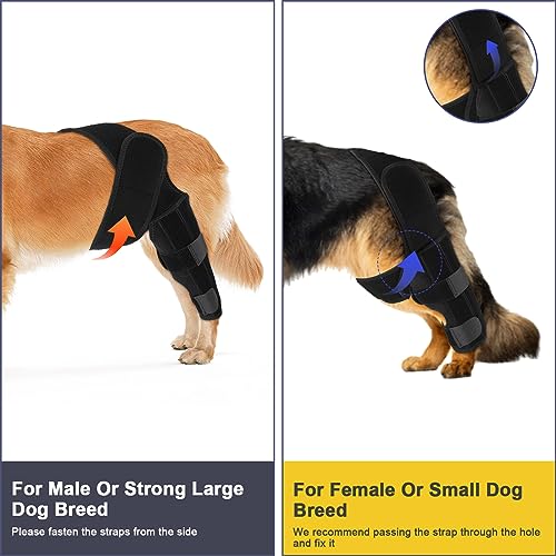 KINBOM Hunde Kniebandage Hinterbein, Hunde Hinterbein Bandage Hunde-ACL-Klammer Hinterbein Hunde-Kniestütze für Hunde-ACL-Klammer Hinterbein (Schwarz, Größe M)