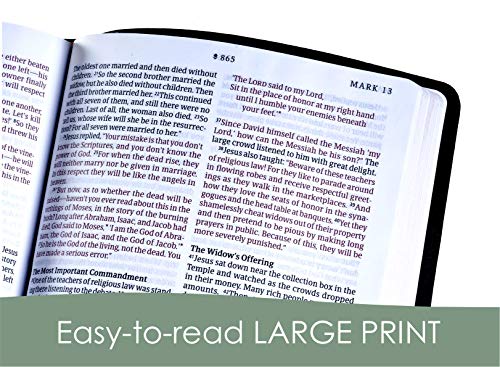 Nlt Large Print Thinline Reference Holy Bible (Red Letter, Leatherlike, Cross Grip Black): Includes Free Access To The Filament Bible App Delivering Study Notes, Devotionals, Worship Music, And Video #TOP5