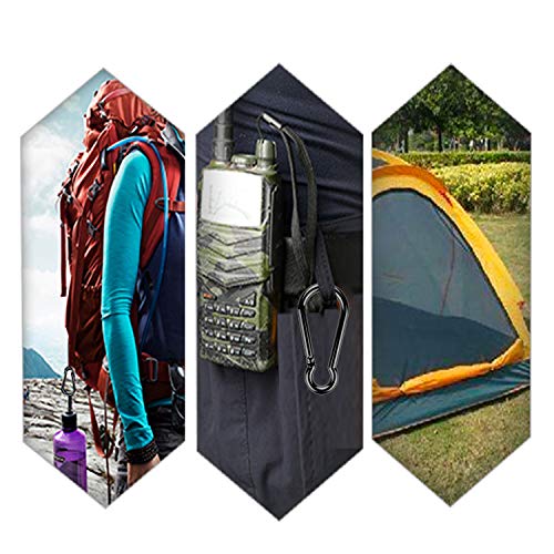 Coffea Aluminum Carabiner Clip, Durable Spring Snap Hook Key Chain Buckle Clips For Camping Hiking Fishing Traveling (2 Pack) #TOP3