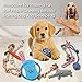 Ranphykx Dog Puppy Toys 11 Pack, Dog Rope Toys Puppy Chew Toys for Playtime Puppy Teething Toys, Dog Flying Disc, Washable Cotton Rope