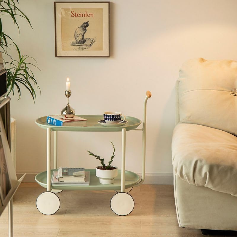 HOLMZCED キャスター付き2段ローリングカート ハンドル付きフロアローリングユーティリティカート モバイルストレージカート モ