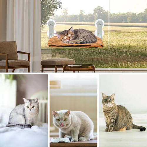 Percha de ventana para gato con soporte plegable para interior 5